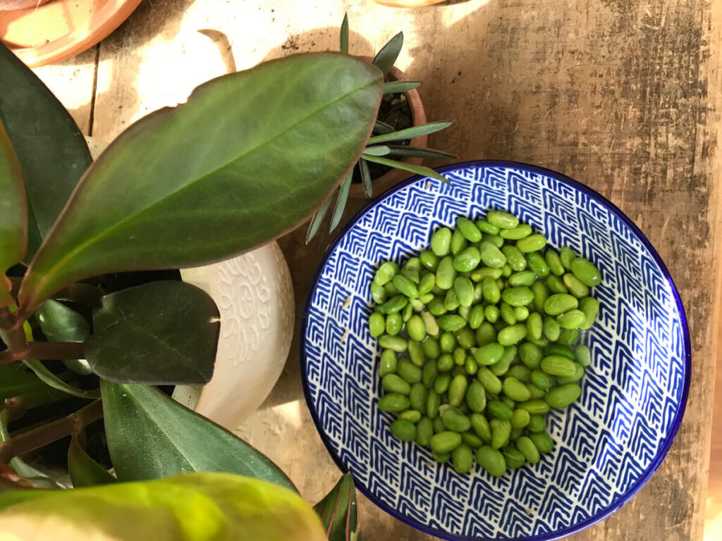 gnocchi-ingredient